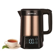 Multi-Function Electric Kettle