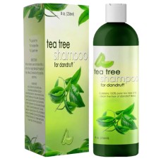 Tea Oil Shampoo Tea Oil Shampoo